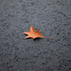 Leafing with Feet on Ground Leafing with Feet on Ground - PhotoDune Item for Sale