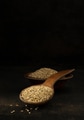 A wooden spoonful of sesame seeds A wooden spoonful of sesame seeds - PhotoDune Item for Sale