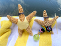 Fun summer concept with starfish Mom & kid with bathing suits on beach towel & water in background Fun summer concept with starfish Mom & kid with bathing suits on beach towel & water in background - PhotoDune Item for Sale