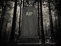 Spooky Forest Gravestone Spooky Forest Gravestone - PhotoDune Item for Sale