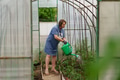 Mature woman with watering can gardening in greenhouse at home - shot in slow motion Mature woman with watering can gardening in greenhouse at home - shot in slow motion - PhotoDune Item for Sale