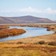 Wetland grassland in autumn Wetland grassland in autumn - PhotoDune Item for Sale
