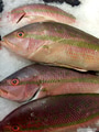 Fresh fish at fresh market is a healthy choice of food for the nutritional value of a healthy diet Fresh fish at fresh market is a healthy choice of food for the nutritional value of a healthy diet - PhotoDune Item for Sale