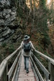 Rear view of girl wearing backpack, standing on wooden footbridge in forest in autumn Rear view of girl wearing backpack, standing on wooden footbridge in forest in autumn - PhotoDune Item for Sale
