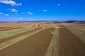 Agriculture theme Agriculture theme - PhotoDune Item for Sale