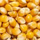Close-up of popcorn kernels, top view Close-up of popcorn kernels, top view - PhotoDune Item for Sale