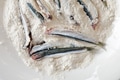 Anchovies in the dish full of white flour. Anchovies in the dish full of white flour. - PhotoDune Item for Sale