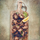 grilled baby octopus,with green onions, with lemon wedges, on a wooden chopping board grilled baby octopus,with green onions, with lemon wedges, on a wooden chopping board - PhotoDune Item for Sale