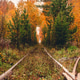Rails of the railway in autumn, around the forest Rails of the railway in autumn, around the forest - PhotoDune Item for Sale