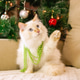Adorable Festive White Cat with Green Beads Posing on Beige Sofa Near Decorated Christmas Tree. Adorable Festive White Cat with Green Beads Posing on Beige Sofa Near Decorated Christmas Tree. - PhotoDune Item for Sale