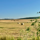 Landscape Landscape - PhotoDune Item for Sale