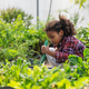 A focused young child works the soil in a lush garden, carefully tending plants with a small tool. A focused young child works the soil in a lush garden, carefully tending plants with a small tool. - PhotoDune Item for Sale