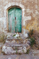 Old door and dog Old door and dog - PhotoDune Item for Sale