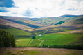 Green grass in the countryside with summer colors, trees Green grass in the countryside with summer colors, trees - PhotoDune Item for Sale