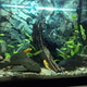 Aquarium Aquarium - PhotoDune Item for Sale