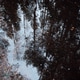 Mystical Forest Reflection in a Water Puddle Mystical Forest Reflection in a Water Puddle - PhotoDune Item for Sale
