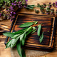 Close-up of fresh sage herb leaves Close-up of fresh sage herb leaves - PhotoDune Item for Sale