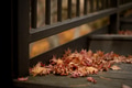 Autumn leaves on the wooden deck Autumn leaves on the wooden deck - PhotoDune Item for Sale