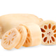 Lotus roots isolated on white background Lotus roots isolated on white background - PhotoDune Item for Sale