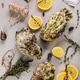 Fresh Pacific Oysters on a light background. Lemon and oregano. Selective focus. Vertical shot. Fresh Pacific Oysters on a light background. Lemon and oregano. Selective focus. Vertical shot. - PhotoDune Item for Sale