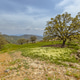 Spring landscape in the mountains of Lesbos Spring landscape in the mountains of Lesbos - PhotoDune Item for Sale