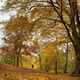 Autumn Season Autumn Season - PhotoDune Item for Sale