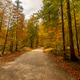 Autumn in the mountains Autumn in the mountains - PhotoDune Item for Sale
