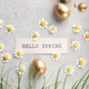 Hello Spring Card with Golden Easter Eggs and Daisies Hello Spring Card with Golden Easter Eggs and Daisies - PhotoDune Item for Sale
