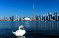 Toronto city skyline, Ontario, Canada Toronto city skyline, Ontario, Canada - PhotoDune Item for Sale