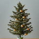 Christmas tree 3d rendering Christmas tree 3d rendering - PhotoDune Item for Sale