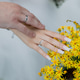 bride groom together close hands rings love bride groom together close hands rings love - PhotoDune Item for Sale