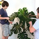 Father and teenage son caring for indoor plants at home, family bonding and sustainable lifestyle Father and teenage son caring for indoor plants at home, family bonding and sustainable lifestyle - PhotoDune Item for Sale