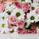 Background of beautiful bouquet of rose and chrysanthemums flowers. Floral arrangement. Background of beautiful bouquet of rose and chrysanthemums flowers. Floral arrangement. - PhotoDune Item for Sale