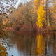 Photo of an autumn landscape. Shore, pond, trees Photo of an autumn landscape. Shore, pond, trees - PhotoDune Item for Sale
