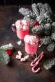 Ruby hot chocolate or pink cocoa Ruby hot chocolate or pink cocoa - PhotoDune Item for Sale