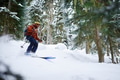 man skier rides freeride on powder snow in forest man skier rides freeride on powder snow in forest - PhotoDune Item for Sale