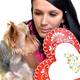 Woman With Puppy And Gingerbread Heart Isolated On White Background Woman With Puppy And Gingerbread Heart Isolated On White Background - PhotoDune Item for Sale