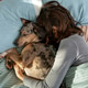 sleepy spotted Dog lies on bed under blanket with its owner, young woman is asleep. sleepy spotted Dog lies on bed under blanket with its owner, young woman is asleep. - PhotoDune Item for Sale
