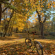 Autumn season Autumn season - PhotoDune Item for Sale
