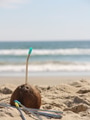 Low Angle View of Coconut with Reusable Stainless Steel Ecofriendly Straw on the Sand at the Beach Low Angle View of Coconut with Reusable Stainless Steel Ecofriendly Straw on the Sand at the Beach - PhotoDune Item for Sale