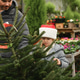 Father and daughter choose a Christmas tree at a forestry. Father and daughter choose a Christmas tree at a forestry. - PhotoDune Item for Sale