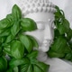 shot of a Buddha statue with green plant leaves in the foreground and background shot of a Buddha statue with green plant leaves in the foreground and background - PhotoDune Item for Sale