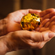 Hands holding a decorative golden egg covered in shiny coins Hands holding a decorative golden egg covered in shiny coins - PhotoDune Item for Sale