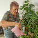 An elderly woman watering houseplants with a watering can An elderly woman watering houseplants with a watering can - PhotoDune Item for Sale