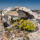 Apollon Lairbenos Temple Ruins on Asartepe Hill in Denizli Turkey Apollon Lairbenos Temple Ruins on Asartepe Hill in Denizli Turkey - PhotoDune Item for Sale