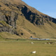 Farm in the mountains of Iceland Farm in the mountains of Iceland - PhotoDune Item for Sale