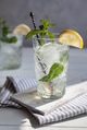 Refreshing drink with lemon and mint in a glass on a white wooden board Refreshing drink with lemon and mint in a glass on a white wooden board - PhotoDune Item for Sale