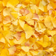 Fallen Leaves of Ginkgo Biloba Fallen Leaves of Ginkgo Biloba - PhotoDune Item for Sale