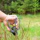 Agriculture gardening work in spring. Women's hands with garden shears cutting bush in yard Agriculture gardening work in spring. Women's hands with garden shears cutting bush in yard - PhotoDune Item for Sale