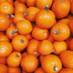 Pumpkins Pumpkins - PhotoDune Item for Sale